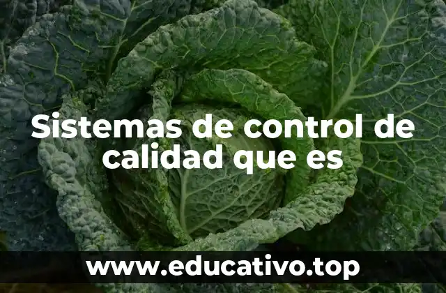 Sistemas de control de calidad que es