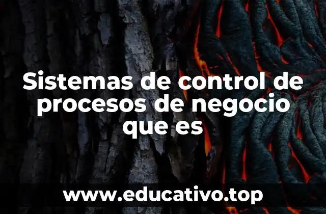 Sistemas de control de procesos de negocio que es