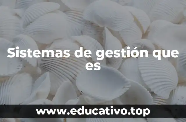 Sistemas de gestión que es