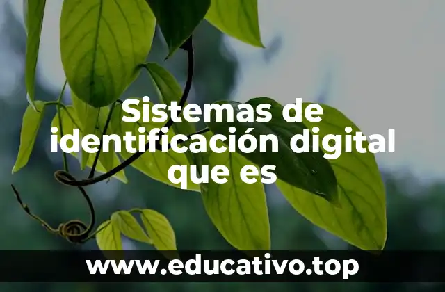 Sistemas de identificación digital que es