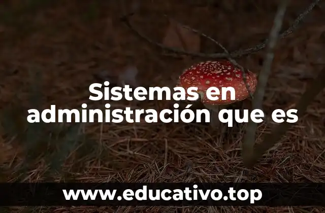 La importancia de los sistemas en la gestión empresarial