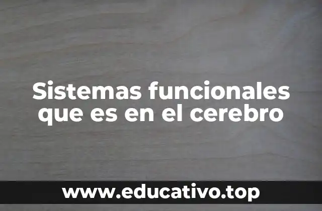 Sistemas funcionales que es en el cerebro