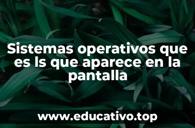 Sistemas operativos que es ls que aparece en la pantalla