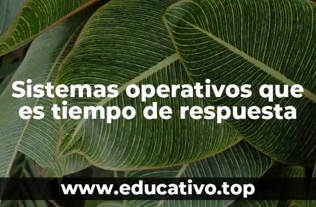 Sistemas operativos que es tiempo de respuesta
