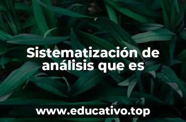 Sistematización de análisis que es