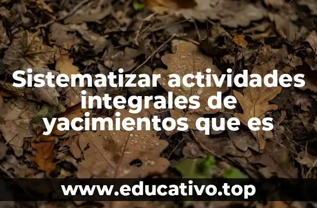 Sistematizar actividades integrales de yacimientos que es