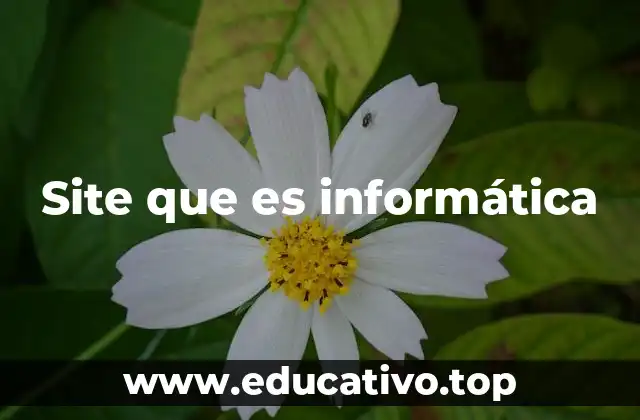 Site que es informática