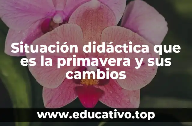 Situación didáctica que es la primavera y sus cambios