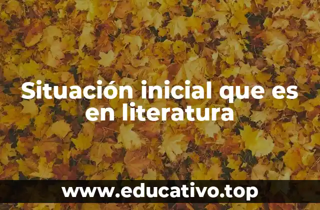 Situación inicial que es en literatura