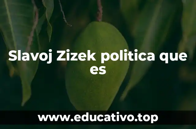 Slavoj Zizek politica que es