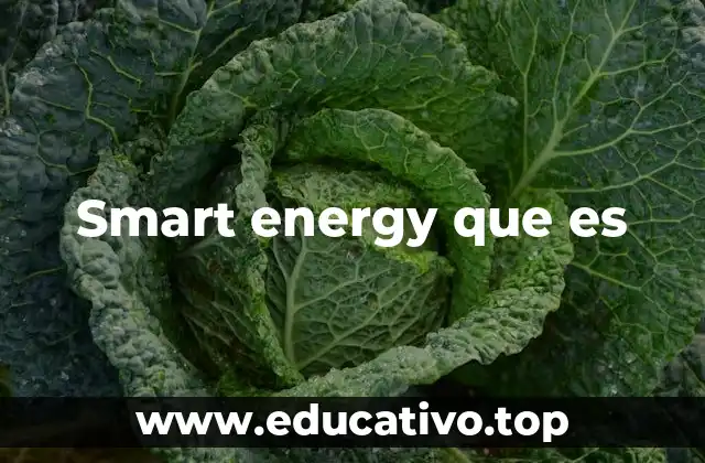 Smart energy que es