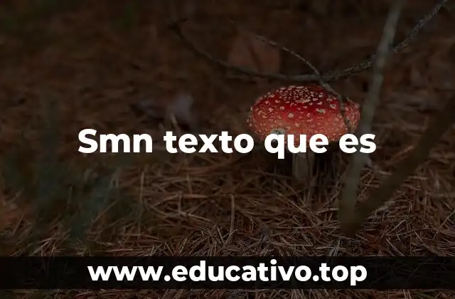 El lenguaje digital y la evolución de las abreviaturas