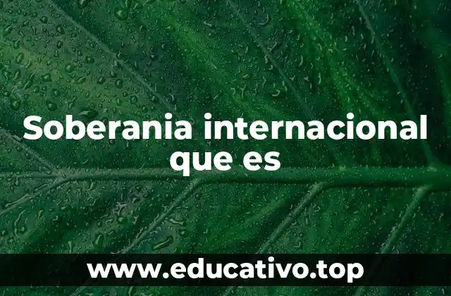 Soberania internacional que es