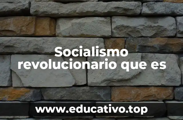Socialismo revolucionario que es