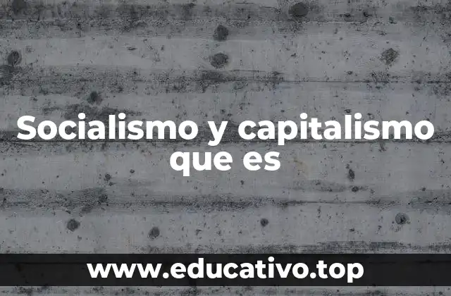 Socialismo y capitalismo que es