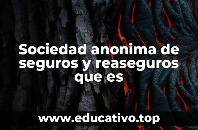 Sociedad anonima de seguros y reaseguros que es