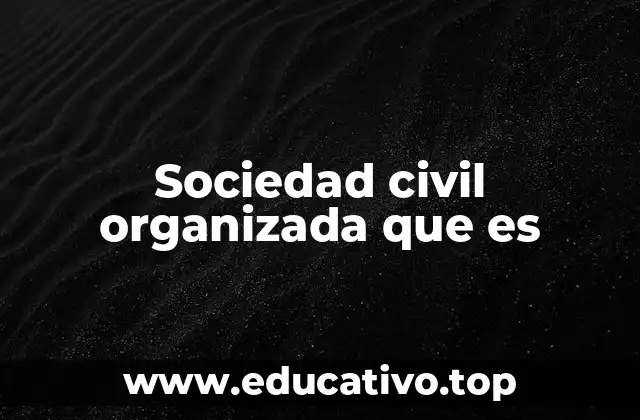 Sociedad civil organizada que es