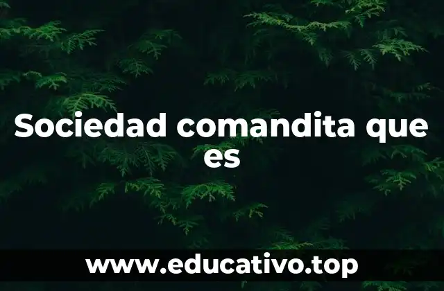 Sociedad comandita que es