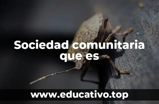 Sociedad comunitaria que es