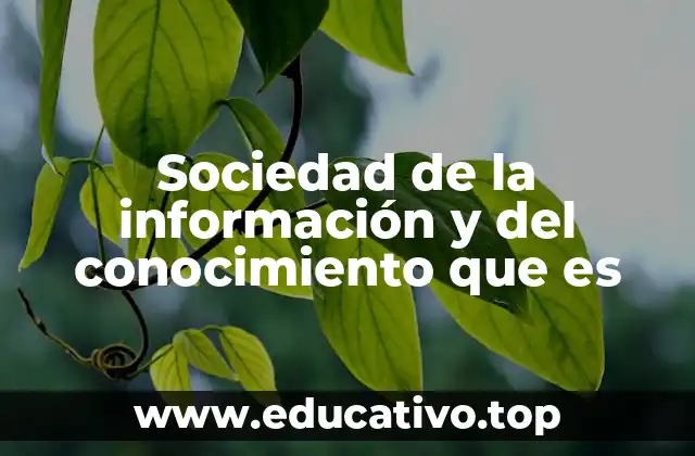 Sociedad de la información y del conocimiento que es