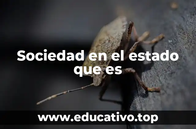 Sociedad en el estado que es