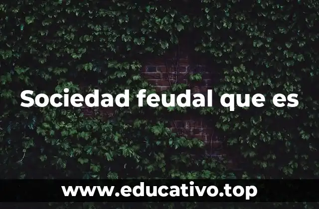 Sociedad feudal que es