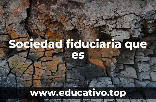 Sociedad fiduciaria que es