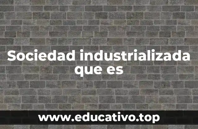 Sociedad industrializada que es