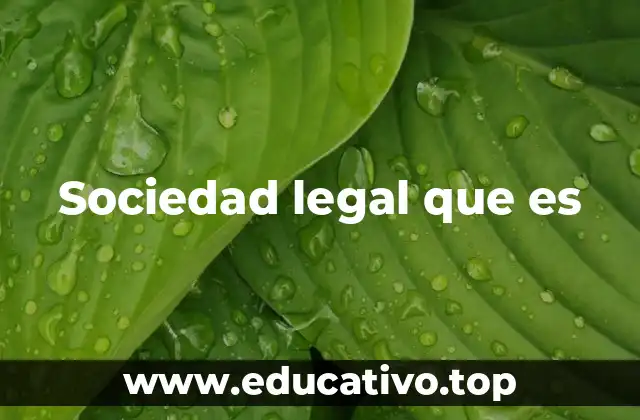 Sociedad legal que es