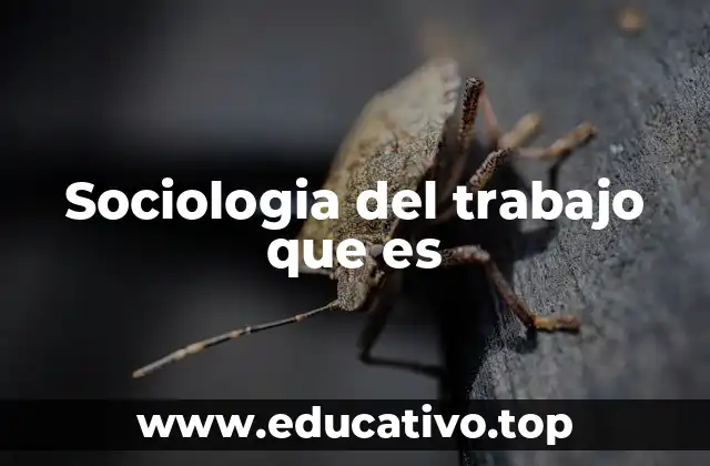 Sociologia del trabajo que es