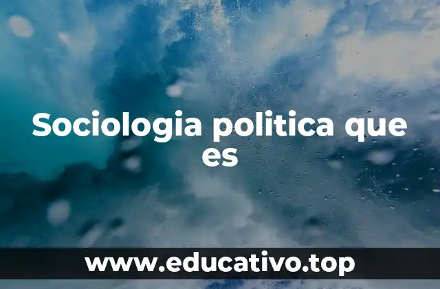 Sociologia politica que es