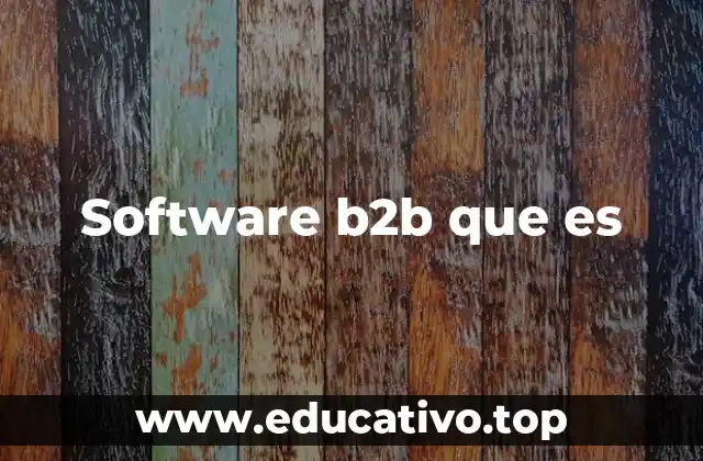 Software b2b que es