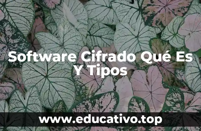 Software Cifrado Qué Es Y Tipos