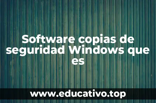 Software copias de seguridad Windows que es