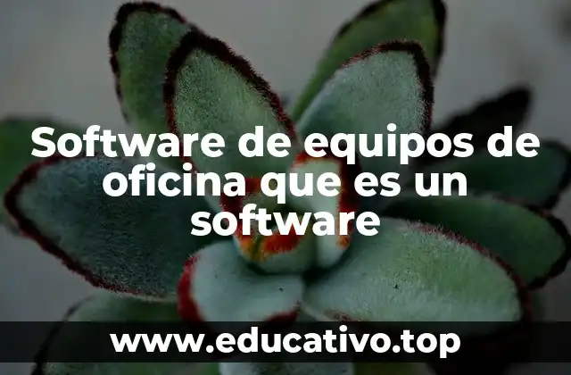 Software de equipos de oficina que es un software