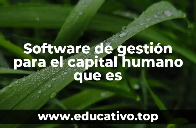 Software de gestión para el capital humano que es