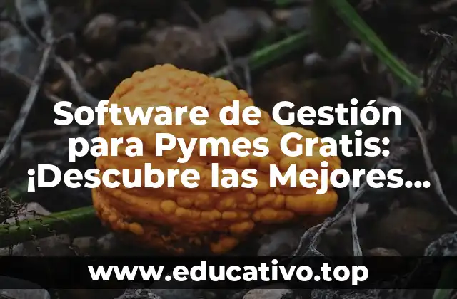 Software de Gestión para Pymes Gratis: ¡Descubre las Mejores Opciones!
