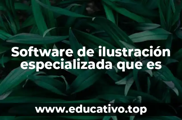 Software de ilustración especializada que es