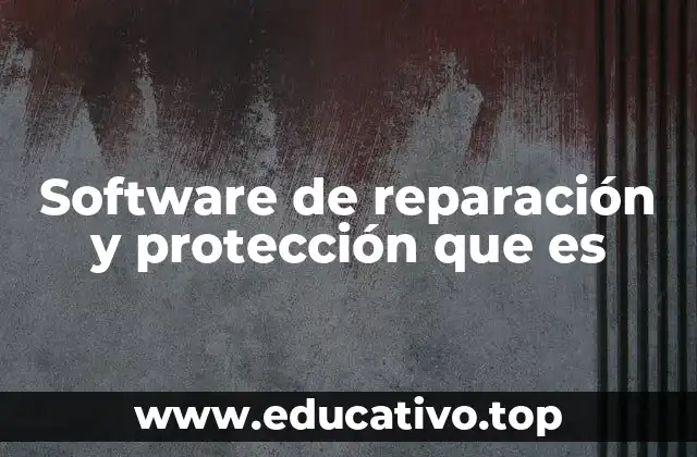 Software de reparación y protección que es