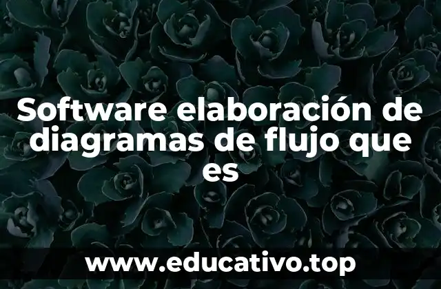 Software elaboración de diagramas de flujo que es