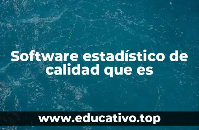 Software estadístico de calidad que es
