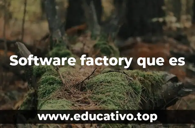 Software factory que es