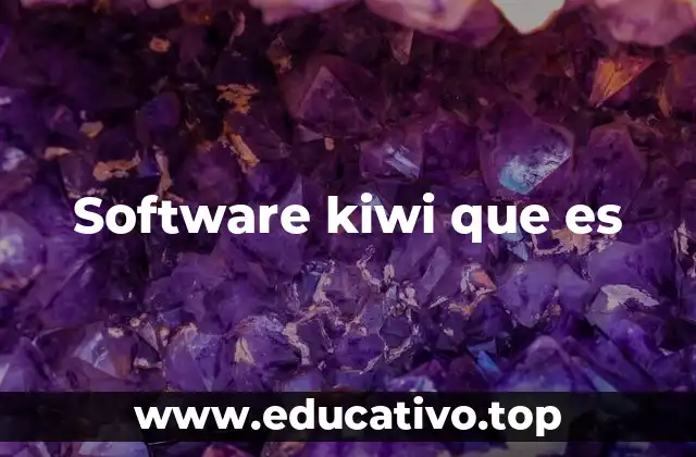 Software kiwi que es