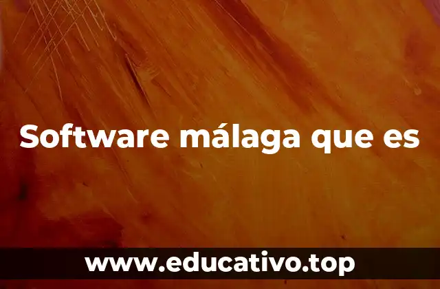 Software málaga que es