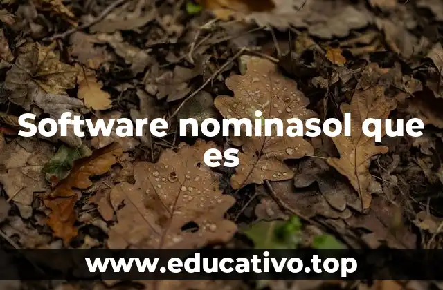 Software nominasol que es