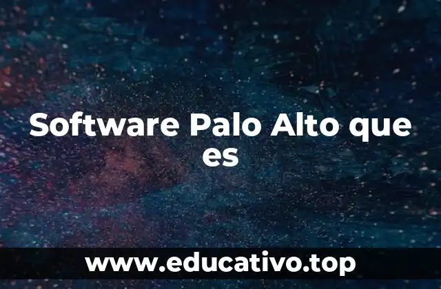 Software Palo Alto que es