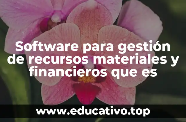 Software para gestión de recursos materiales y financieros que es