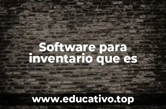 Software para inventario que es
