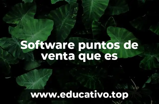 Software puntos de venta que es