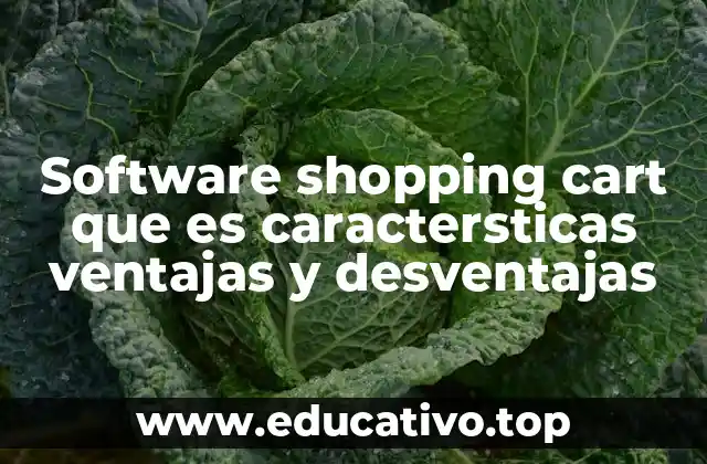 Software shopping cart que es caractersticas ventajas y desventajas